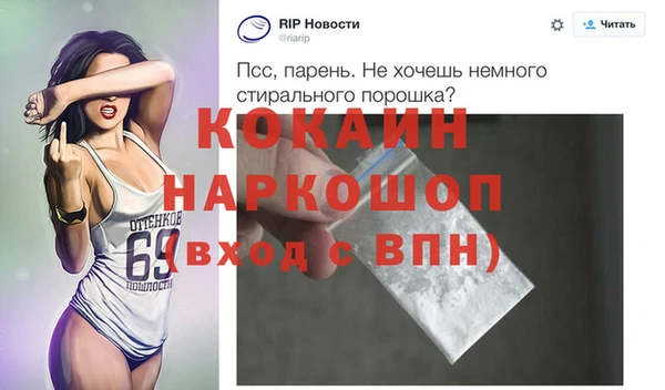 прущие грибы Бердск