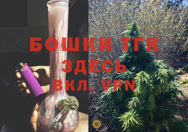 прущие грибы Бердск
