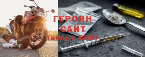 прущие грибы Бердск